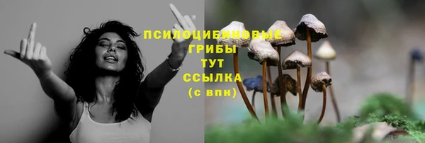 гашик Киреевск