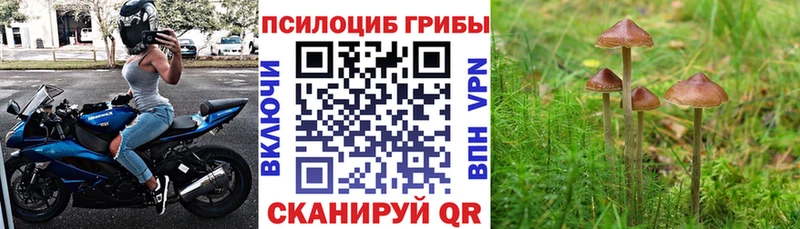 Галлюциногенные грибы Magic Shrooms  Купить  Лиски 